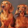 Aesthetic Red Dachshund Diamond Painting