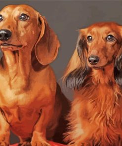 Aesthetic Red Dachshund Diamond Painting