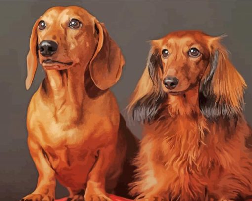 Aesthetic Red Dachshund Diamond Painting