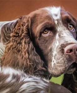 Aesthetic Springer Spaniel Diamond Painting