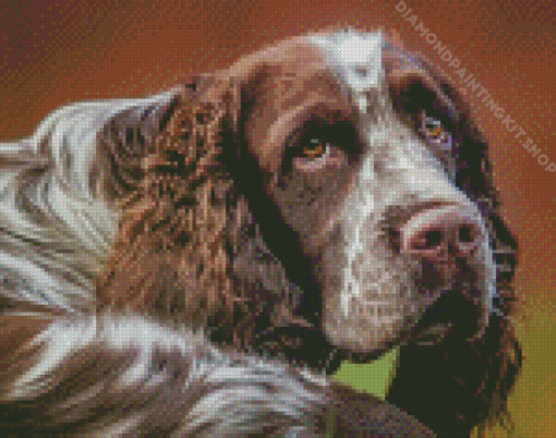 Aesthetic Springer Spaniel Diamond Painting