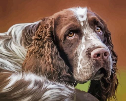 Aesthetic Springer Spaniel Diamond Painting