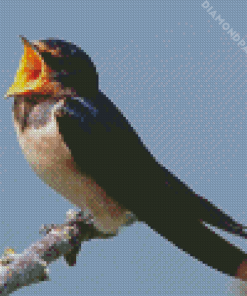 Aesthetic Swallow Bird Diamond Painting