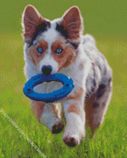 Aesthetic Toy Aussie Dog Diamond Painting