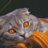 Aesthetic Cat Listening Music Diamond Painting