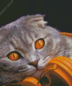 Aesthetic Cat Listening Music Diamond Painting