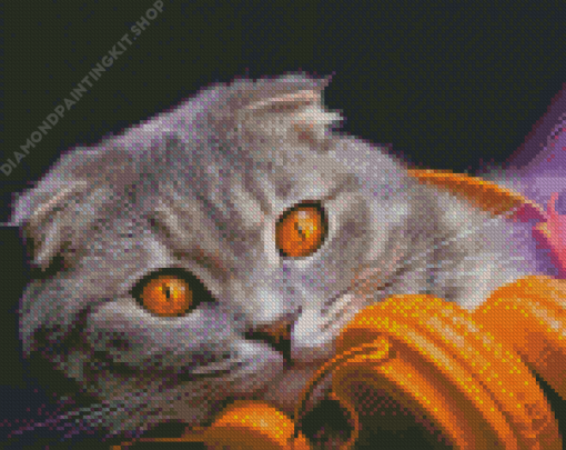 Aesthetic Cat Listening Music Diamond Painting