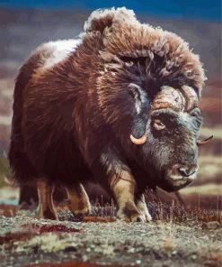 Aesthetic Muskox Diamond Painting