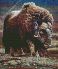 Aesthetic Muskox Diamond Painting