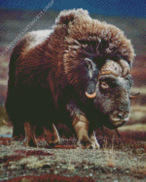 Aesthetic Muskox Diamond Painting