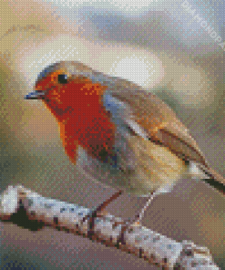 Aesthetic Robin Bird Diamond Painting