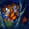 Beautiful Tiger Eyes Diamond Painting