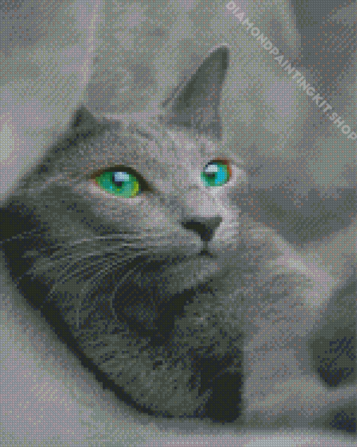 Beautiful Russian Blue Cat Diamond Painting