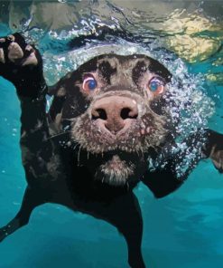 Black Dog In Water Diamond Painting