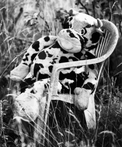 Black And White Cow On Chair Diamond Painting