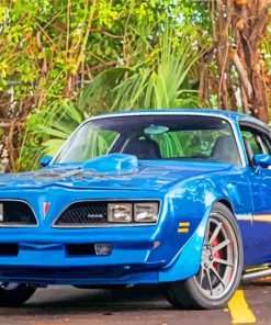 Blue 78 Firebird Trans Am Diamond Painting