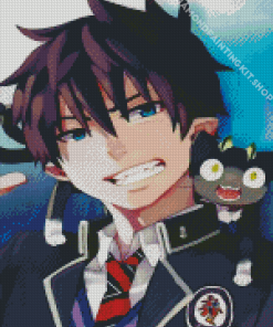 Blue Exorcist Rin Okumura Diamond Painting