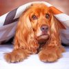 Cocker Spaniel Under Blanket Diamond Painting