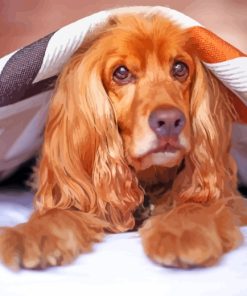 Cocker Spaniel Under Blanket Diamond Painting