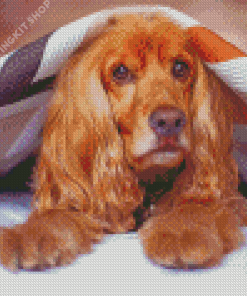 Cocker Spaniel Under Blanket Diamond Painting