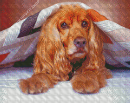 Cocker Spaniel Under Blanket Diamond Painting