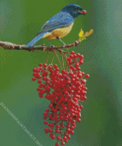 Colorful Singing Bird Diamond Painting