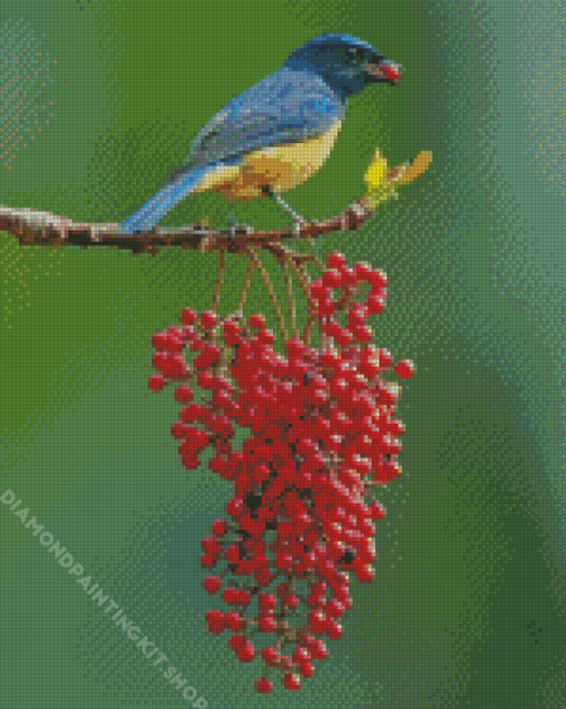 Colorful Singing Bird Diamond Painting