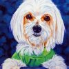 Cute Maltese Dog Diamond Painting