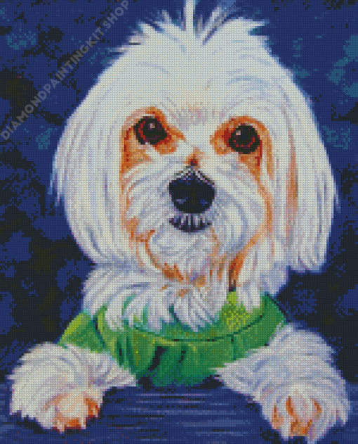 Cute Maltese Dog Diamond Painting