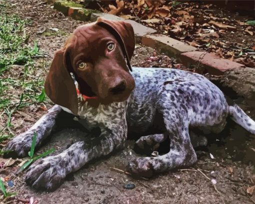 Cute German Shorthaired Dog Diamond Painting