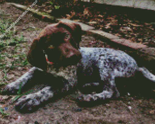 Cute German Shorthaired Dog Diamond Painting