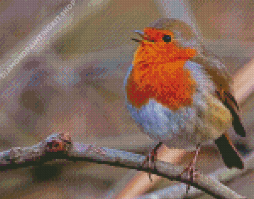 Cute Robin Diamond Painting