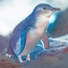 Fairy Penguin Diamond Painting