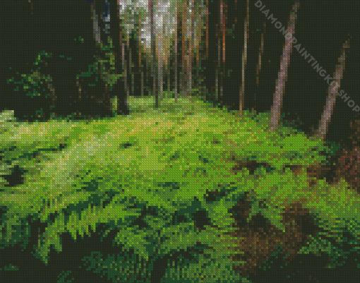 Ferns In Forest Diamond Painting