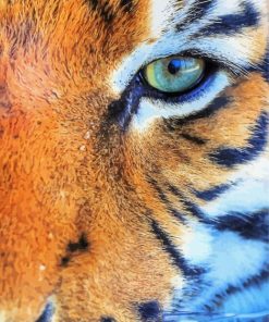 Green Tiger Eyes Diamond Painting