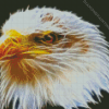 Abstract Head Eagle Diamond Painting