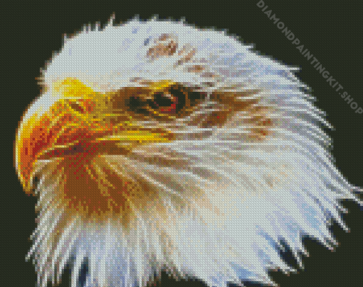 Abstract Head Eagle Diamond Painting