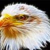 Abstract Head Eagle Diamond Painting