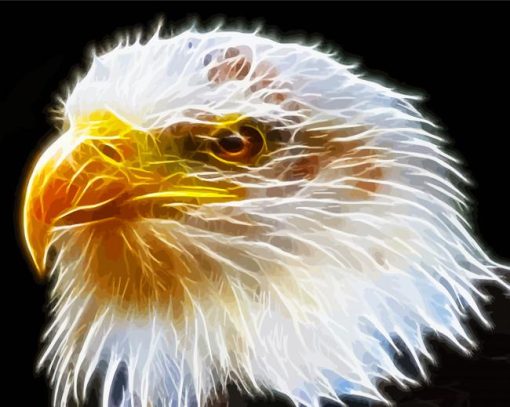 Abstract Head Eagle Diamond Painting