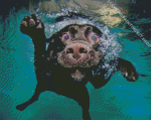 Black Dog In Water Diamond Painting