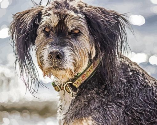 Wirehaired Puppy Diamond Painting