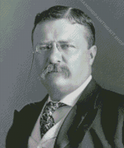 Monochrome Roosevelt Diamond Painting