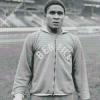 Monochrome Eusebio Diamond Painting