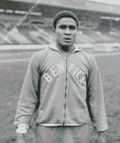 Monochrome Eusebio Diamond Painting