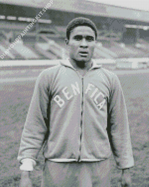 Monochrome Eusebio Diamond Painting