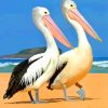 Pelicans Diamond Painting