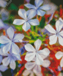 Plumbago Flowers Diamond Painting