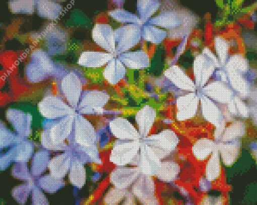 Plumbago Flowers Diamond Painting