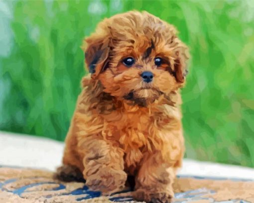 Shihpoo Puppy Diamond Painting