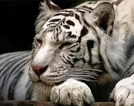 Sleepy White Siberian Tiger Diamond Painting